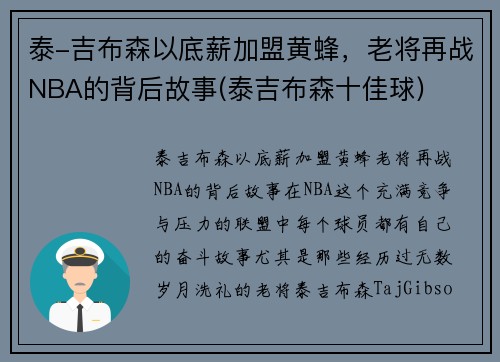 泰-吉布森以底薪加盟黄蜂，老将再战NBA的背后故事(泰吉布森十佳球)